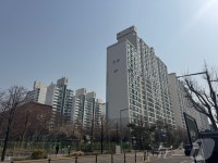 강촌 사진 5