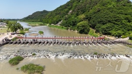 진천 농다리·미르309출렁다리 운영 여부 쉽게 확인하세요