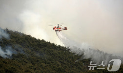 쉽지 않은 진화