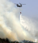 쉽지 않은 진화