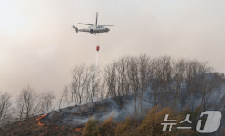 충남 당진 순성면 갈산리서 산불…소방대응 1단계