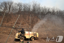 [뉴스1 PICK]산불 확산에 세계유산 하회마을 위기