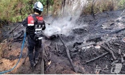 충남 금산 진산면 묵산리 산불 49분 만에 진화