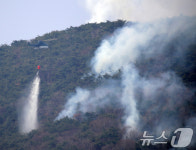 쉽지 않은 진화