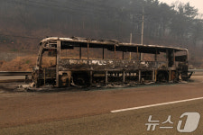 산불에 탄 영덕 버스