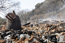 폭격 맞은듯 의성 고운사 산불로 잿더미