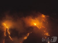 주택서 시작된 무주 부남면 산불 야산 타고 확산…주민 272명 대피