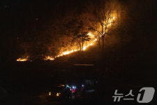 美 국무부 산불 희생자 애도…주한미군 동원해 지원할 것