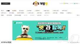 펫과 함께 다낭 가자…온힐펫-모두투어, 반려견 동반 여행 기획