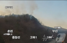 안동서 산불 재발화…중앙고속도 남안동IC~서안동IC 양방향 통제