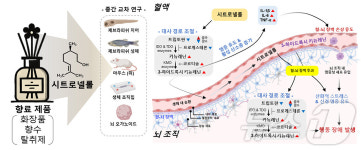 화장품·세제 천연 향료 시트로넬롤 뇌 신경독성 가능성 입증
