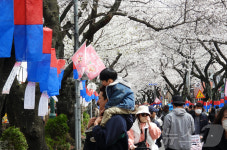 [오늘의 날씨] 제주(31일, 월)…대체로 맑음