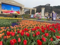 [르포]어트랙션 없어도 좋다…20만 명 몰린 에버랜드 튤립축제