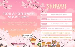 벚꽃 인증샷 찍고 선물받자…충북대 박물관 13일까지 이벤트