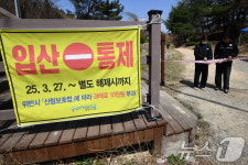 포항시 지금은 입산통제