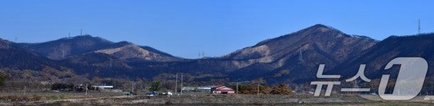 검게 변한 마을 산