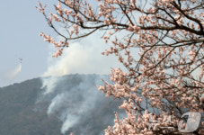 [오늘의 날씨] 부산·경남(8일, 화)…큰 일교차, 산불 조심
