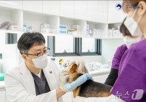 반려동물 양치질 이렇게…스카이동물동물메디컬센터, 26일 건강교실