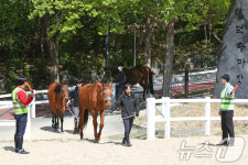 대구 앞산 대덕승마장, 산불 대비 마필 대피 훈련