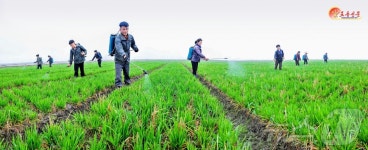 北, 황해남도 배천군 농장 조명…과학농사열의 넘쳐