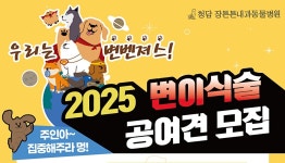 장 건강 연구할 분변 주시개…청담장튼튼내과동물병원, 공여견 모집