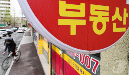 공인중개사 신규 개업 25년만에 최저