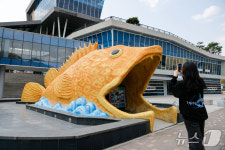 새 옷 갈아입은 단양 황금 쏘가리 조형물…도색 작업 마무리
