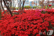포항시청 비밀의 화원