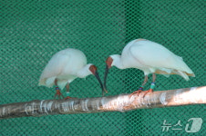 창녕 우포늪으로 힐링·생태 여행 떠나요