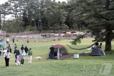 봄 알리는 말 발굽 소리…제주마 입목 축제 347 페스티벌(종합)