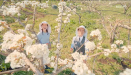 독수리5형제 엄지원, 안재욱과 배꽃밭 데이트 회장님은 츤데레(종합)
