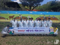 강원농협, 춘천서 예쁜 농장, 벽화 그리기 행사