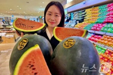 롯데百, 30년 수박 외길, 함안 강고집 흑피 수박 판매