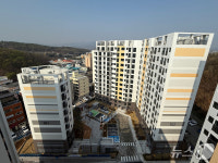 삼남 사진 1