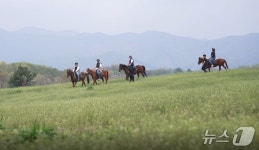 이천시, 농촌관광 승마활성화 지원…체험비 최대 60% 지원