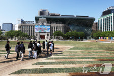 나무길과 난지형 잔디로 꾸며진 서울광장