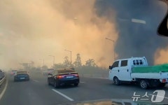[속보] 대구 함지산 불 확산…경찰 노곡·조야·무태교 교통통제