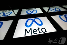 메타, 독립형 AI 앱 공개…사용자 개별 요구 더 잘 맞춘다