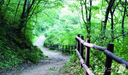 충주 하늘재…관음서 미륵까지 불교 전파된 고갯길 다시 주목