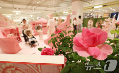 에버랜드 로로티 장미축제,  현대백화점 판교점에 팝업스토어 오픈