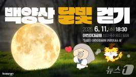 부산진구, 6월11일 백양산 달빛걷기 행사 개최