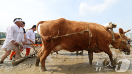 직접 체험하는 농경문화