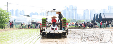 김문수 후보, 모내기 이양 작업