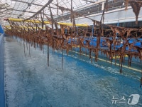 고흥군 등 참여 컨소시엄, 김 육상양식 연구개발 과제 선정