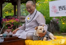 신청 20초 컷 증평 댕플스테이 반려 가족에 통했다