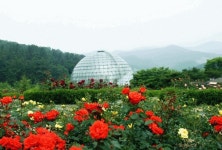 세종 시민단체 