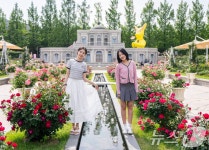 에버랜드 로로티 장미축제 현장