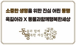 옥길아라동물의료센터-동행, 유기동물에 새 삶을…외과 수술 지원