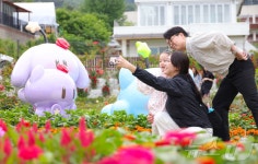 대전 동구, 장미로 물든 9일… ‘제2회 대청호 장미전시회’ 성료