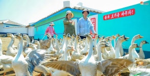북한, 축산업 증산 독려…가내 축산 활성화하자